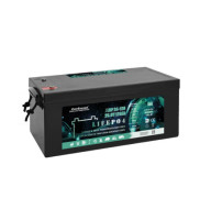 Аккумуляторная батарея LiFePO4 EverExceed LDP 24-100 (25.6V100AH)